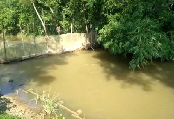 গোলাপগঞ্জে খালের উপর অবৈধ বাঁধ নির্মাণ : নষ্ট হচ্ছে কৃষকের ক্ষেত