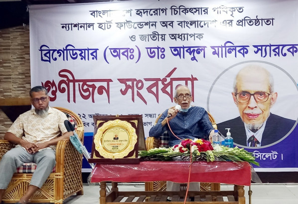 ব্রিগেডিয়ার (অবঃ) ডাঃ আব্দুল মালিক