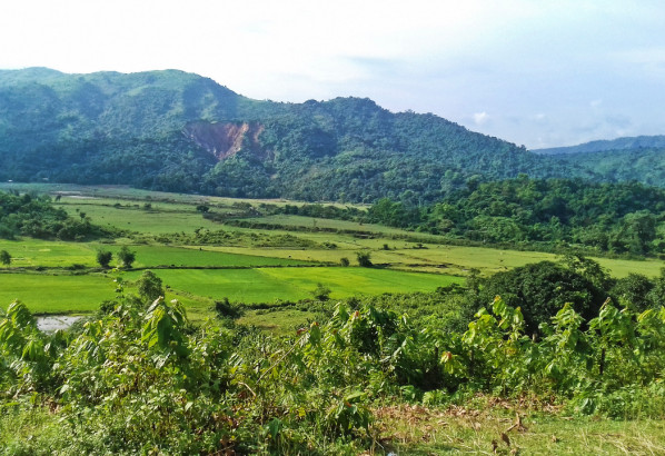 ভারতীয় বিএসএফ তিন বাংলাদেশীকে বিজিবির কাছে হস্তান্তর