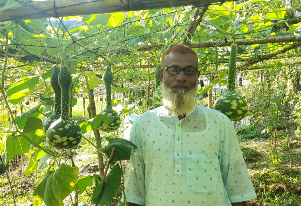 গোলাপগঞ্জে বিদেশি লাউ চাষে বাম্পার ফলন,সৌখিন কৃষকের মুখে হাসি!