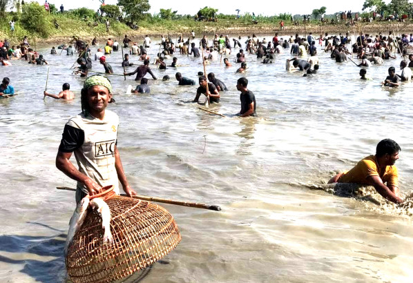 জগন্নাথপুরে পলো বাওয়া উৎসবে উৎসুক জনতার ঢল