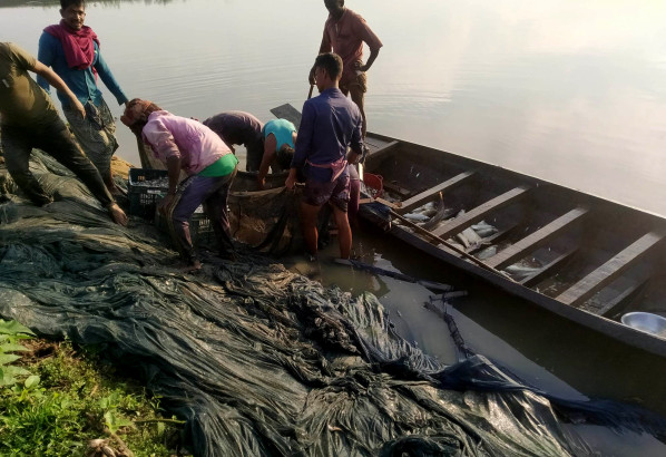 জগন্নাথপুরে স্থগিতাদেশ অমান্য করে বড়ডহর জলমহাল বিক্রি, অতপর অবাধে মাছ নিধন