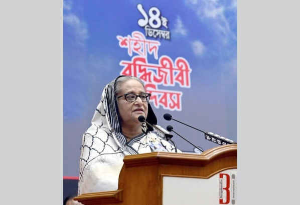 আওয়ামী লীগ কখনো মানবাধিকার লঙ্ঘন করে না : প্রধানমন্ত্রী