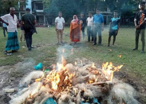 শিক্ষাপ্রতিষ্ঠান
