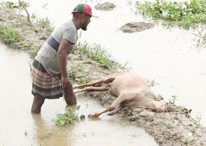 শিক্ষাপ্রতিষ্ঠান