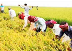 শিক্ষাপ্রতিষ্ঠান