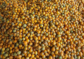 শিক্ষাপ্রতিষ্ঠান